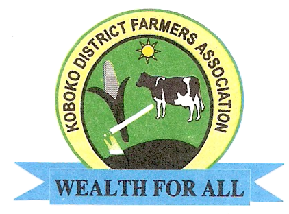 Koboko District Farmers’ Association (KODFA)